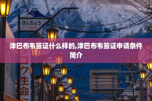 津巴布韦签证什么样的,津巴布韦签证申请条件简介