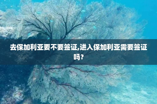 去保加利亚要不要签证,进入保加利亚需要签证吗？