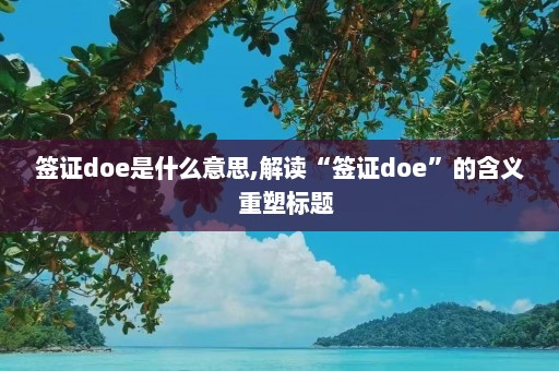 签证doe是什么意思,解读“签证doe”的含义  重塑标题