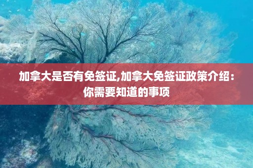 加拿大是否有免签证,加拿大免签证政策介绍：你需要知道的事项