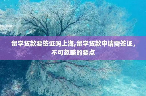 留学贷款要签证吗上海,留学贷款申请需签证，不可忽略的要点