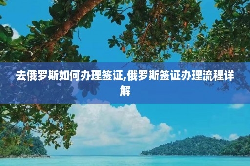 去俄罗斯如何办理签证,俄罗斯签证办理流程详解