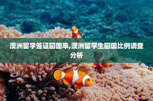 澳洲留学签证回国率,澳洲留学生回国比例调查分析