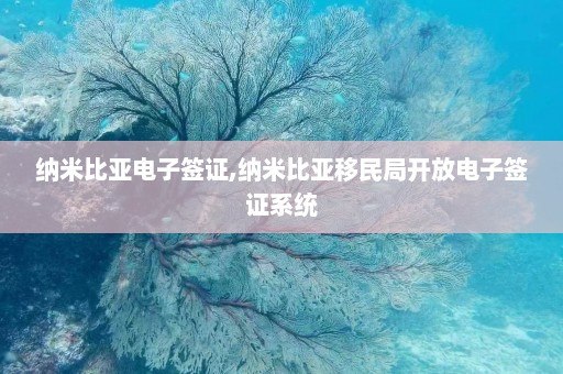 纳米比亚电子签证,纳米比亚移民局开放电子签证系统