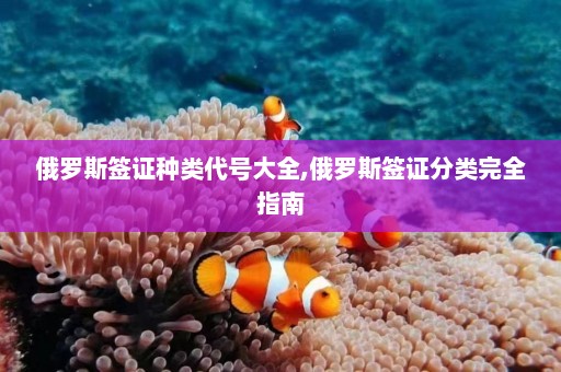 俄罗斯签证种类代号大全,俄罗斯签证分类完全指南