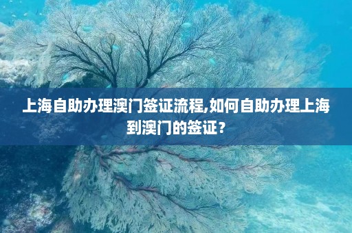 上海自助办理澳门签证流程,如何自助办理上海到澳门的签证？