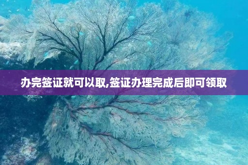 办完签证就可以取,签证办理完成后即可领取