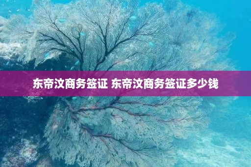 东帝汶商务签证 东帝汶商务签证多少钱