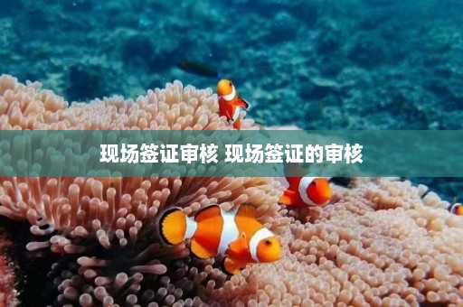 现场签证审核 现场签证的审核