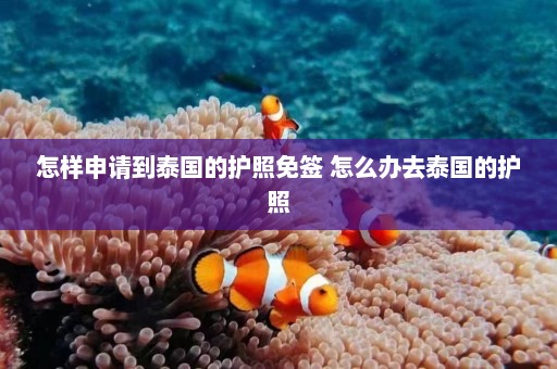 怎样申请到泰国的护照免签 怎么办去泰国的护照