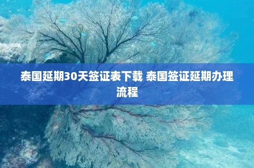 泰国延期30天签证表下载 泰国签证延期办理流程