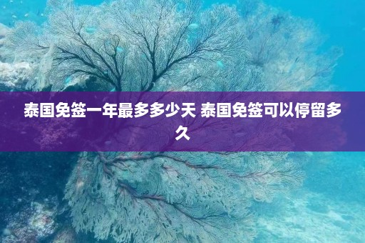 泰国免签一年最多多少天 泰国免签可以停留多久