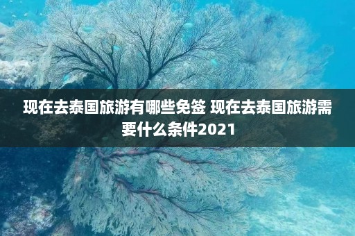 现在去泰国旅游有哪些免签 现在去泰国旅游需要什么条件2021