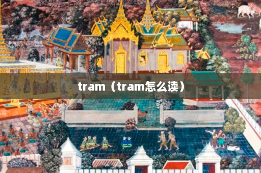 tram（tram怎么读）  第1张