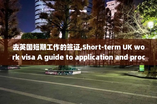 去英国短期工作的签证,Short-term UK work visa A guide to application and process