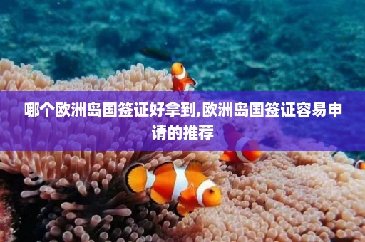 哪个欧洲岛国签证好拿到,欧洲岛国签证容易申请的推荐