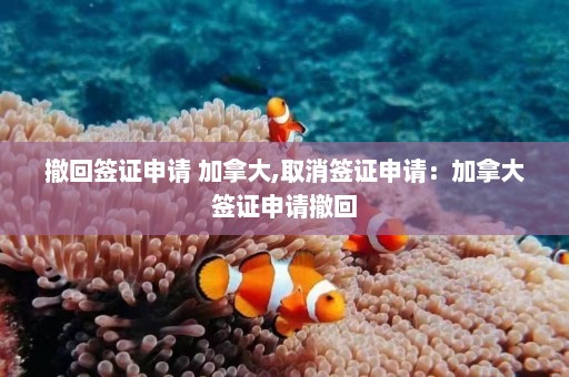 撤回签证申请 加拿大,取消签证申请：加拿大签证申请撤回