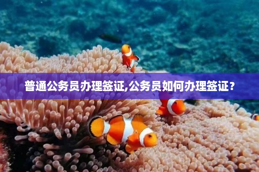 普通公务员办理签证,公务员如何办理签证？