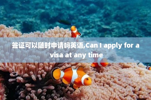 签证可以随时申请吗英语,Can I apply for a visa at any time