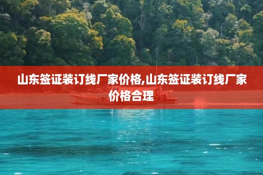 山东签证装订线厂家价格,山东签证装订线厂家价格合理