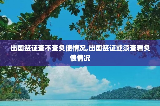 出国签证查不查负债情况,出国签证或须查看负债情况