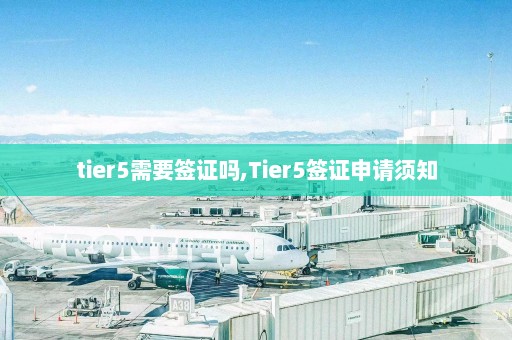 tier5需要签证吗,Tier5签证申请须知