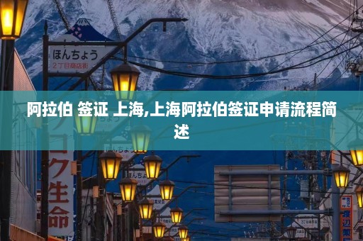 阿拉伯 签证 上海,上海阿拉伯签证申请流程简述