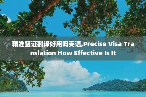 精准签证翻译好用吗英语,Precise Visa Translation How Effective Is It