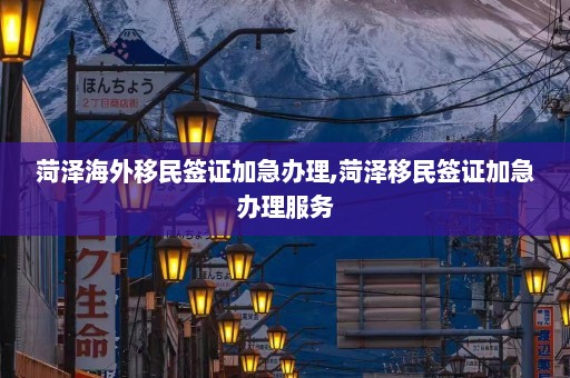 菏泽海外移民签证加急办理,菏泽移民签证加急办理服务