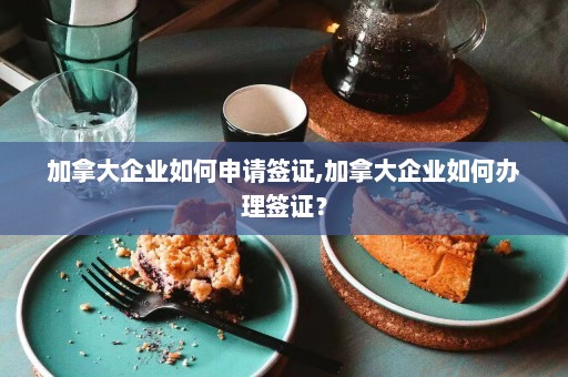 加拿大企业如何申请签证,加拿大企业如何办理签证？