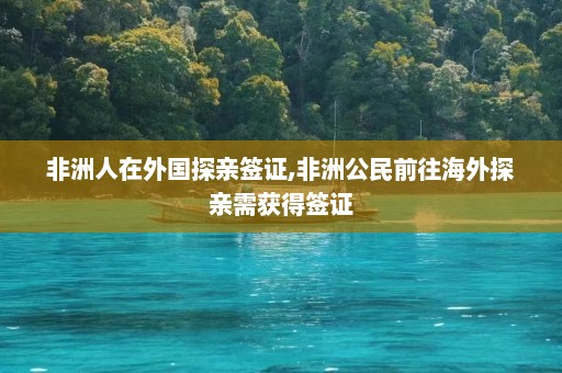 非洲人在外国探亲签证,非洲公民前往海外探亲需获得签证