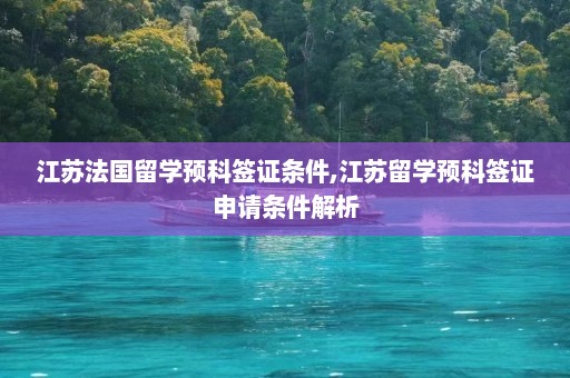 江苏法国留学预科签证条件,江苏留学预科签证申请条件解析