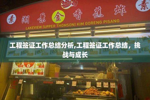 工程签证工作总结分析,工程签证工作总结，挑战与成长