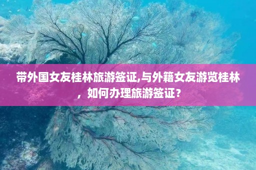 带外国女友桂林旅游签证,与外籍女友游览桂林，如何办理旅游签证？