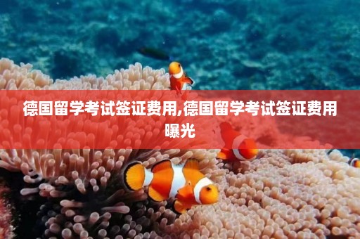 德国留学考试签证费用,德国留学考试签证费用曝光