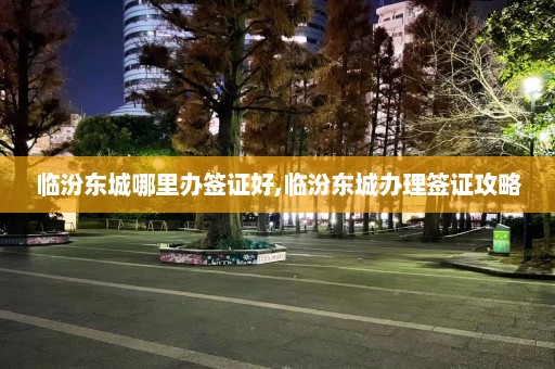 临汾东城哪里办签证好,临汾东城办理签证攻略