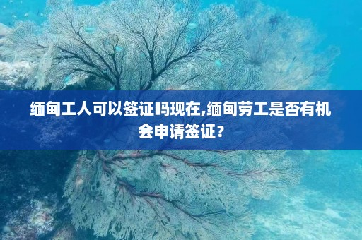 缅甸工人可以签证吗现在,缅甸劳工是否有机会申请签证？