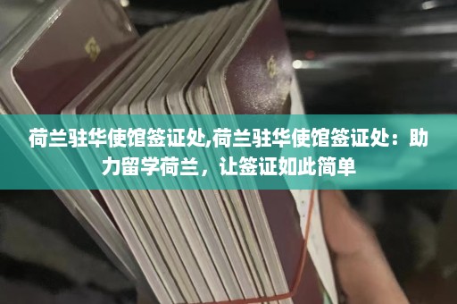 荷兰驻华使馆签证处,荷兰驻华使馆签证处：助力留学荷兰，让签证如此简单