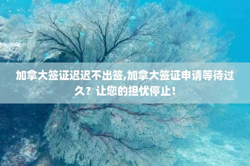 加拿大签证迟迟不出签,加拿大签证申请等待过久？让您的担忧停止！