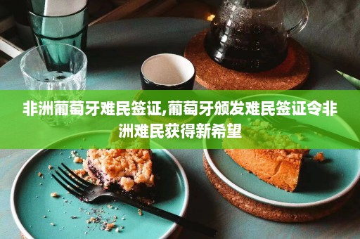 非洲葡萄牙难民签证,葡萄牙颁发难民签证令非洲难民获得新希望