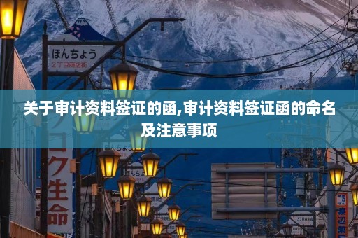 关于审计资料签证的函,审计资料签证函的命名及注意事项