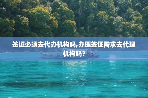 签证必须去代办机构吗,办理签证需求去代理机构吗？