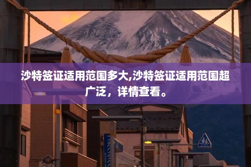 沙特签证适用范围多大,沙特签证适用范围超广泛，详情查看。