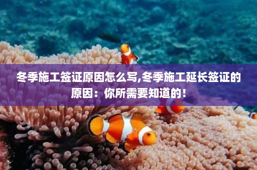 冬季施工签证原因怎么写,冬季施工延长签证的原因：你所需要知道的！