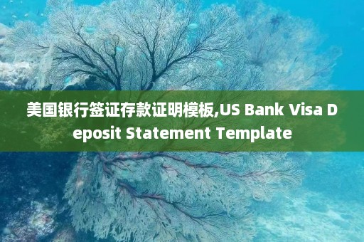 美国银行签证存款证明模板,US Bank Visa Deposit Statement Template