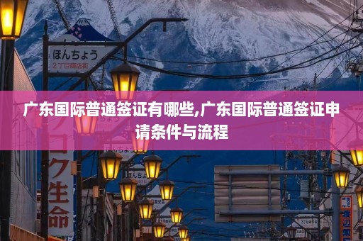 广东国际普通签证有哪些,广东国际普通签证申请条件与流程