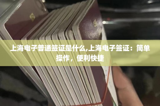 上海电子普通签证是什么,上海电子签证：简单操作，便利快捷  第1张