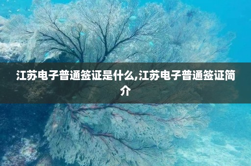 江苏电子普通签证是什么,江苏电子普通签证简介