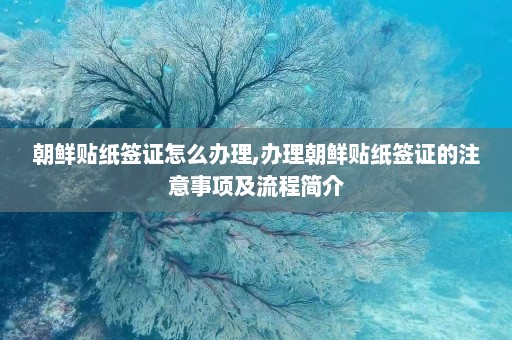 朝鲜贴纸签证怎么办理,办理朝鲜贴纸签证的注意事项及流程简介