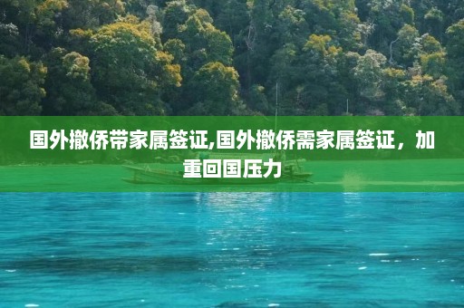 国外撤侨带家属签证,国外撤侨需家属签证，加重回国压力